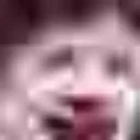 bepis8199