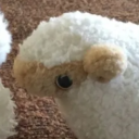 avatar holly j jolly