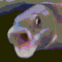 fishyboy