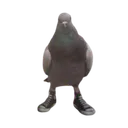 _userdzeb