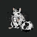 nongmogpu avatar