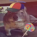 blayzoreon