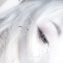 avatar 𝖊𝖑𝖊𝖓𝖆