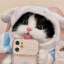 avatar Meow.exe