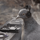 pomb4o#0
