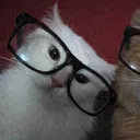 buldakluvrrrrr