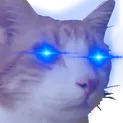 smolmewsh