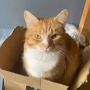qtkaybee
