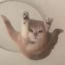 irenebun