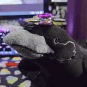 bouncybirdy