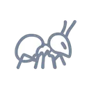 __ant