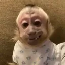 doiver3027