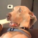 avatar Thorge stinkt