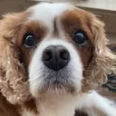 .veebz