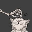 zahooee