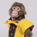 dantreble