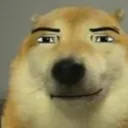 meikotr