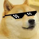 polybiuspro