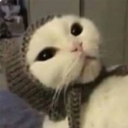 lethalfluff