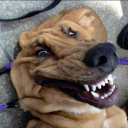 realdoggo#7181's avatar