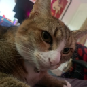 avatar PAPO DOWN👴🏿