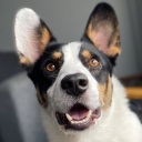 mckilloptyler740's Avatar