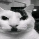 oscarrgg