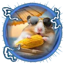 hmrt