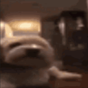 /assets/new/default_avatar-fcd562686c5511f2d561ecf4fff7f6a7dcf6df7268f46e15455f9d2ab139441c.png