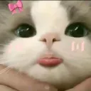 patyamezcua