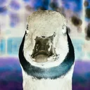 thrik0442