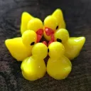 sixducks