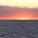 reeces11.
