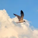 katemb619