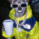 jackle_lant0rn#7496's avatar