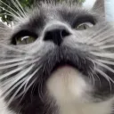 explydev