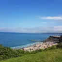 ziyanasto