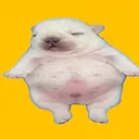 tehabruh