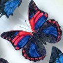 joba4028#6489's avatar