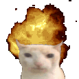 mronlykemal