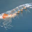 kt008