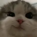 evil_warlord
