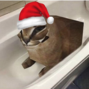 m1ckspt's avatar
