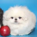 defom_kills