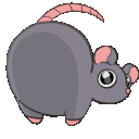 nyxie8020
