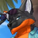 0utfox