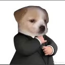 judge_12