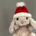 avatar bunnie