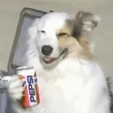lukewilsontv