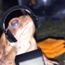 vinnie9318